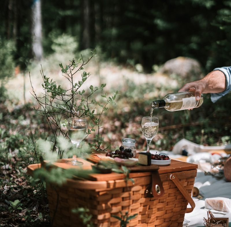 Private Picnic in Niagara
